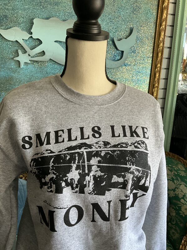 A gray sweatshirt with the words " smells like money ".